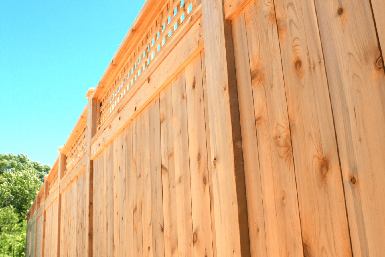 Backyard Fence Picture